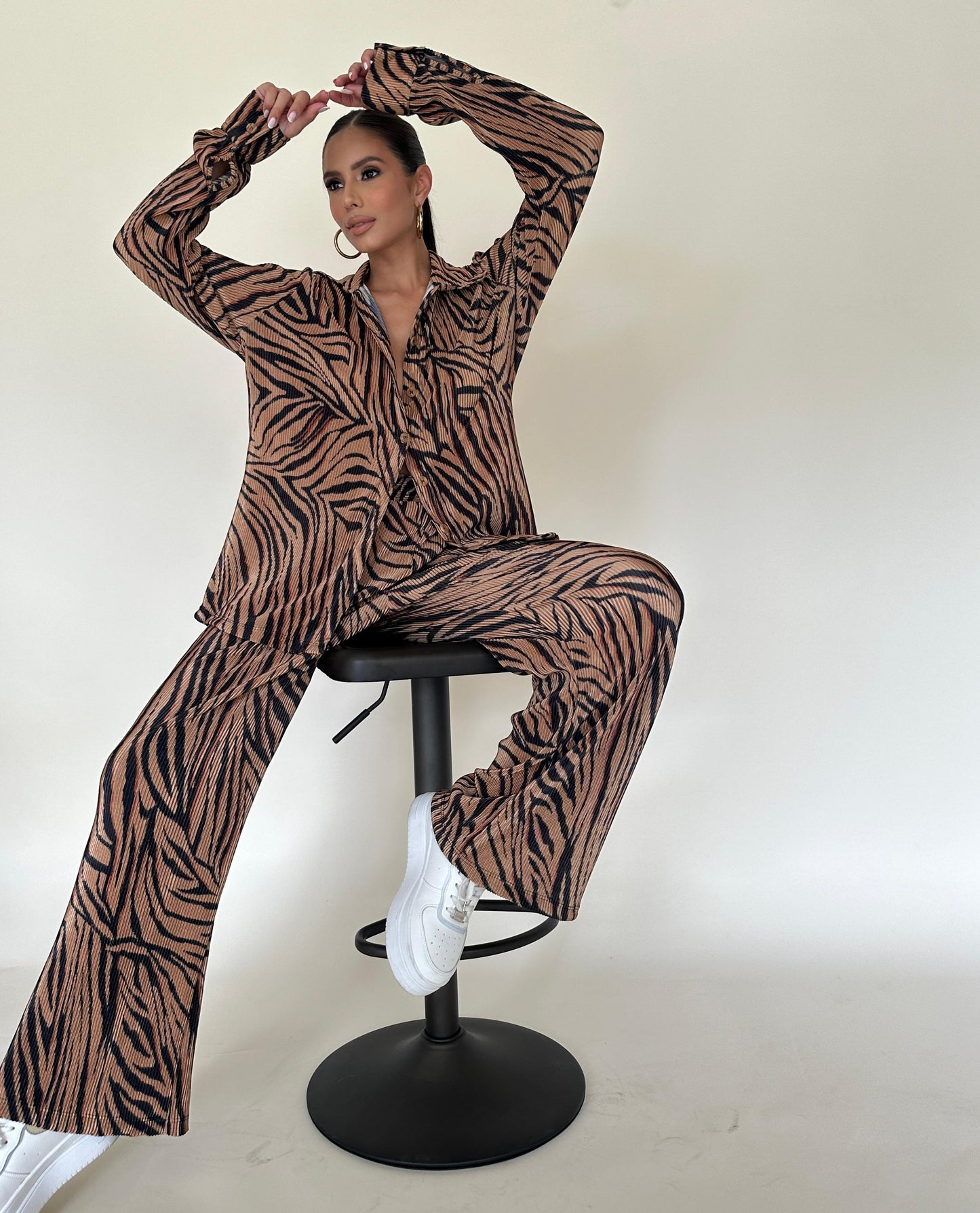 Animal